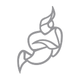 Jitsi Meet logo
